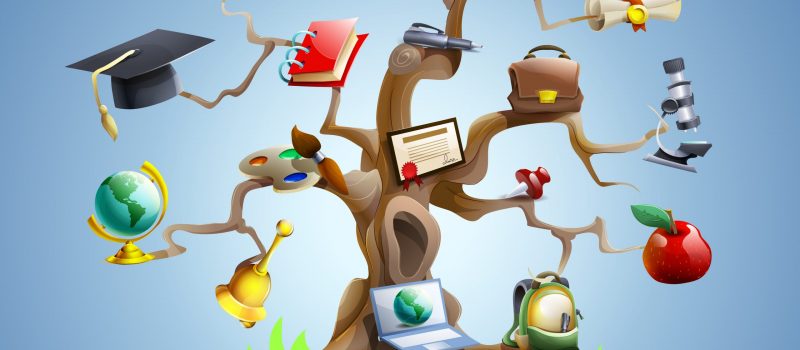 Education and study tree concept with laptop and graduation certificate on blue background cartoon vector illustration