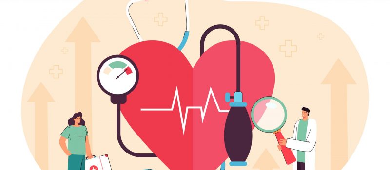 Tiny cardiology doctor and nurse examining heart, blood pressure, prescribing treatment. Medical cardiovascular checkup flat vector illustration. Anatomy, hospital, heart diseases, health care concept