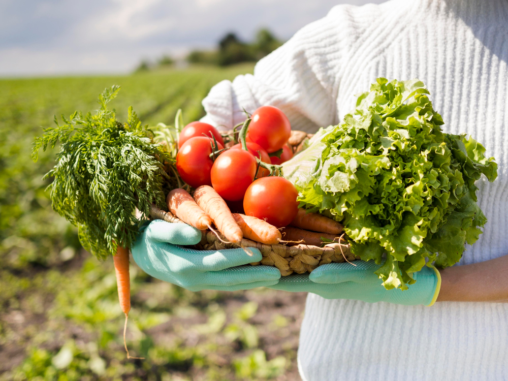 woman-holding-basket-full-different-vegetables